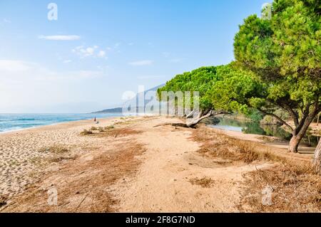 Vue panoramique sur la plage d'Orosei avec pins, montagne et rivière. Sable doré et arbres verts à la plage, pris en Sardaigne Italie. Banque D'Images