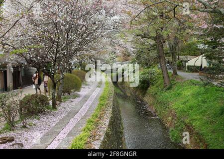 KYOTO, JAPON - 16 AVRIL 2012 : les gens visitent la promenade du philosophe (ou le chemin du philosophe) à Kyoto, au Japon. Le sentier bordé de cerisiers en fleurs est un grand JAPA Banque D'Images