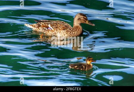 Southport Credit Ian FairBrother/Alamy stock photos Banque D'Images