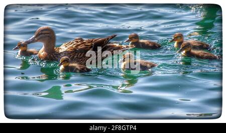 Southport Credit Ian FairBrother/Alamy stock photos Banque D'Images