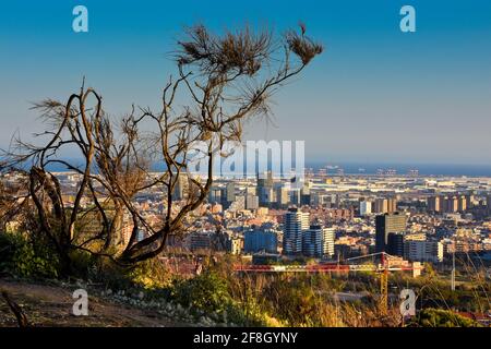 Nature et ville. Paysage urbain. Barcelone, Hospitalet del Llobregat, Catalogne, Espagne. Banque D'Images