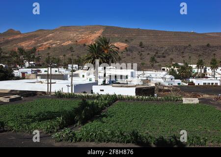 Haria, situé au nord de Lanzarote, îles canaries, espagne Banque D'Images