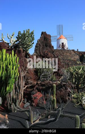 Gofio moulin, jardin de cactus jardin de cactus à Guatiza, Lanzarote, îles canaries, espagne Banque D'Images