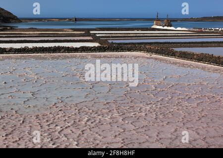 Le Salinas de Janubio, plus la production de sel, salines, plante des îles canaries, près de Yaiza, Lanzarote, ESPAGNE Banque D'Images