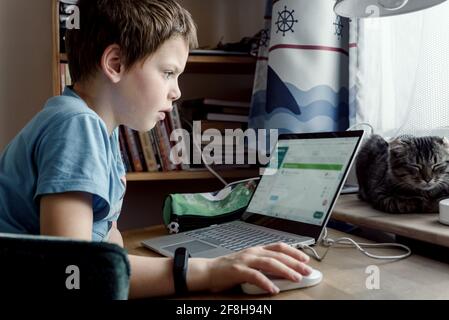 Garçon d'école utilisant son ordinateur portable et assis à son bureau à la maison avec un chat d'animal de compagnie dormant sur la table, les enfants utilisant l'ordinateur Banque D'Images