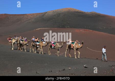 Promenade dromadaire pour les touristes dans le parc national de Timanfaya, Parque Nacional de Timanfaya, Montañas del Fuego, Fire Mountains, Lanzarote, îles Canaries, c Banque D'Images