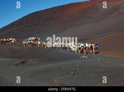 Promenade dromadaire pour les touristes dans le parc national de Timanfaya, Parque Nacional de Timanfaya, Montañas del Fuego, Fire Mountains, Lanzarote, îles Canaries, c Banque D'Images