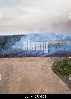 Vue aérienne par drone du feu brûlant dans la forêt amazonienne paysage de déforestation illégale pour faire des terres pour l'agriculture et pâturage de bétail à Para, Brésil Banque D'Images