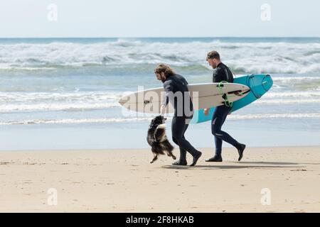 Garrettstown, Cork, Irlande. 14 avril 2021. Les surfeurs se dirigent vers la mer avec leur chien excitée à Garrettstown, Co. Cork, Irlande.- Credit; David Creedon / Alay Live News Banque D'Images