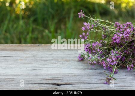 Bouquet de fleurs de thym sur une vieille planche en bois avec un fond naturel. Banque D'Images