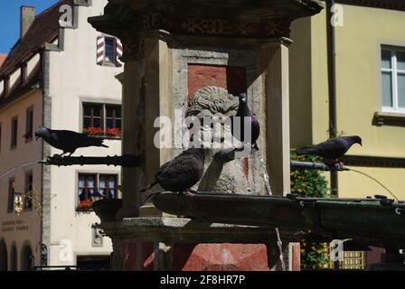 Gros plan d'oiseaux sur la fontaine sur la place de l'ancienne ville de Rothenburg ab Tauber, Bavière, Allemagne Banque D'Images