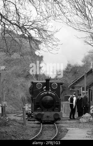 'Talyllyn' à la gare de Brynglas. Banque D'Images