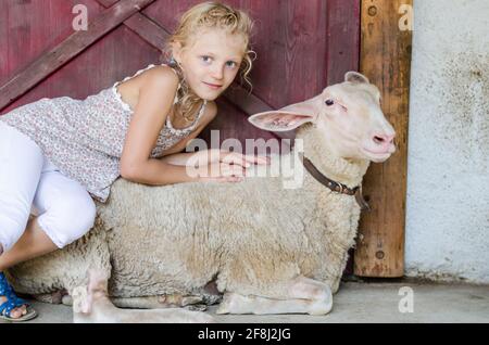 adorable petite fille blonde caressant des moutons blancs Banque D'Images