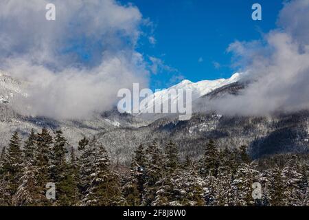 Vue sur la forêt et les montagnes après une chute de neige à la mi-avril Whistler Village Colombie-Britannique Canada Banque D'Images