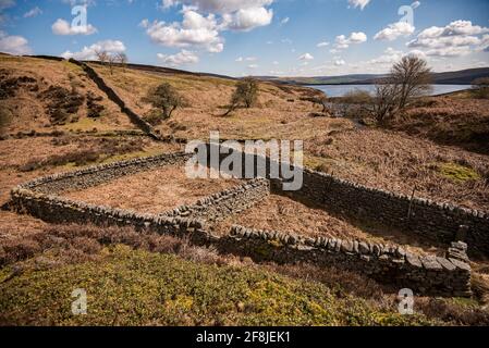 Abaisser le réservoir et les environs de Barden Banque D'Images