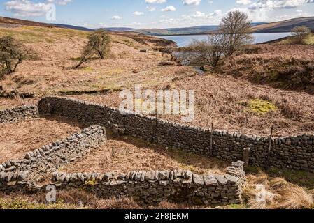 Abaisser le réservoir et les environs de Barden Banque D'Images