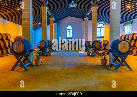 JEREZ DE LA FRONTERA, ESPAGNE, 26 JUIN 2019 : fûts de vin à l'intérieur de la Bodega de Tio Pepe à Jerez de la Frontera, Espagne Banque D'Images