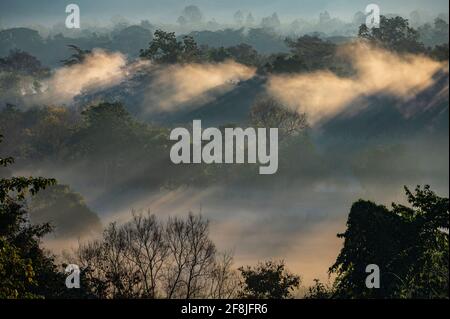 La lumière brille dans le brouillard du matin dans le Triangle d'Or Banque D'Images