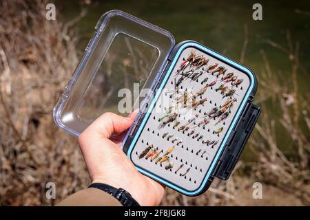 Un adulte mâle tient des mouches de pêche à la truite le long de passage Creek, va. Banque D'Images