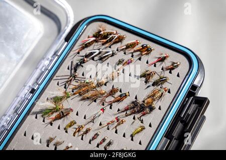 Un adulte mâle tient des mouches de pêche à la truite le long de passage Creek je Banque D'Images