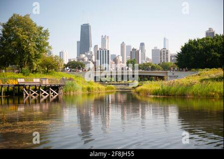 Vue partielle sur les gratte-ciel de Chicago depuis les jardins de Lincoln Park. Banque D'Images