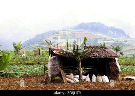 Bâtiment traditionnel sur la colline de la ferme Banque D'Images