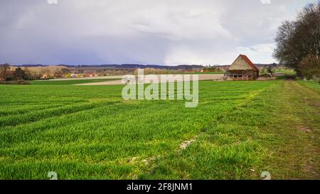 Randonnée dans un beau paysage près de Billerbeck, mais un orage arrive. Banque D'Images