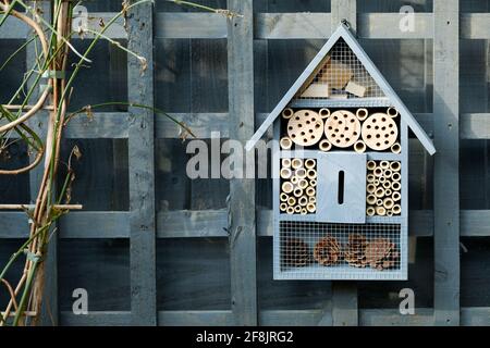 Un hôtel d'insectes, une maison d'insectes ou un hôtel d'insectes accroché dans un jardin de maison. La structure faite par l'homme fournit un abri pour les insectes, y compris les abeilles solitaires Banque D'Images