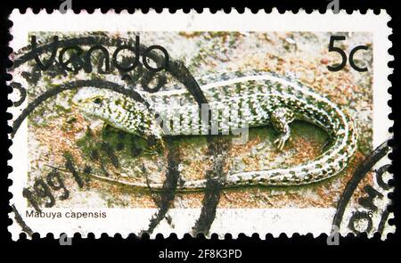 MOSCOU, RUSSIE - 7 OCTOBRE 2019 : timbre-poste imprimé en Afrique du Sud, dans les pays d'origine, montre Cape Skink (Mabuya capensis), série Venda, vers 1986 Banque D'Images