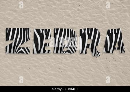 Rendu 3D du mot zébré avec texture de peau zébrée activée alphabet sablonneux Banque D'Images