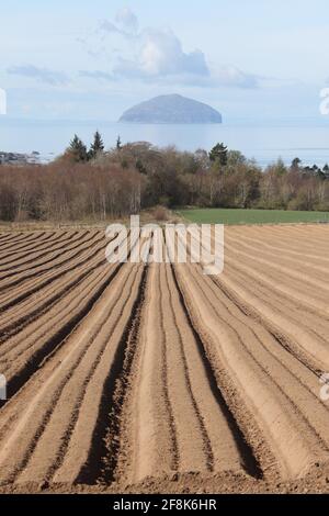 Ecosse, Ayrshire, Ailsa Craig 12 avril 2021. Champs labourés avec ligne menant à Aisa Craig Banque D'Images