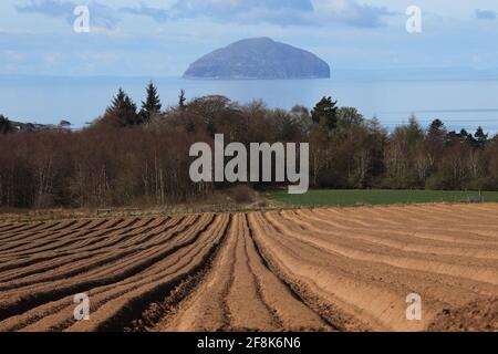 Ecosse, Ayrshire, Ailsa Craig 12 avril 2021. Champs labourés avec ligne menant à Aisa Craig Banque D'Images