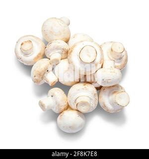 Champignon. Isolated over white with clipping path Banque D'Images