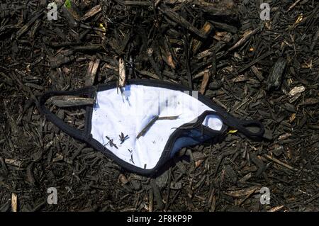 Plan horizontal d'un masque bleu et blanc jeté en posant en paillis Banque D'Images