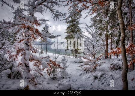 DE - BAVIÈRE: Hiver au lac Walchensee Banque D'Images