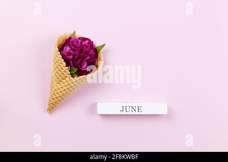 Fleur de pivoine en cône gaufré, bloc de bois avec inscription juin sur fond de lilas pastel, espace copie. Pose à plat minimaliste. Pour la carte de vœux, inv Banque D'Images