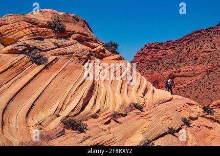 Photographe à North Coyote Buttes, dans la région sauvage de Paria Canyon-Vermilion Cliffs, monument national de Vermilion Cliffs, Arizona. Banque D'Images