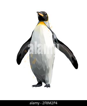 Pingouin empereur d'une touche d'aquarelle, dessin coloré, réaliste. Illustration vectorielle des peintures Illustration de Vecteur