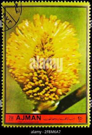 MOSCOU, RUSSIE - 5 OCTOBRE 2019: Timbre-poste imprimé à Ajman (Émirats arabes Unis) montre Salix Capraea, série de fleurs, vers 1972