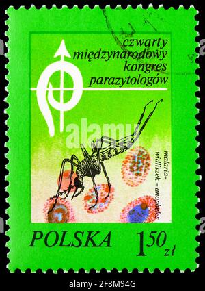 MOSCOU, RUSSIE - 4 OCTOBRE 2019: Timbre-poste imprimé en Pologne montre Anopheles Mosquito (Anopheles sp.), cellules sanguines, 4e Parasitolog international Banque D'Images