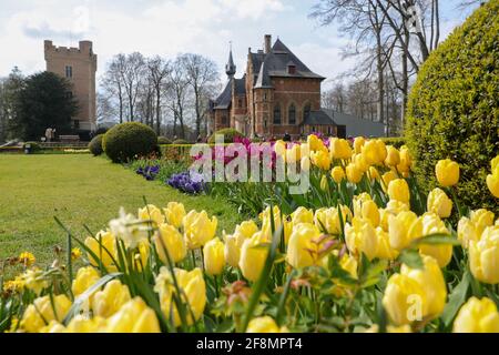 Bruxelles, Belgique. 14 avril 2021. Les fleurs sont vues au Floralia Bruxelles, ou à la 18e édition de l'exposition internationale des fleurs, au château du Grand Bigard près de Bruxelles, Belgique, le 14 avril 2021. L'exposition durera jusqu'au 2 mai. Le parc de 14 hectares présente plus d'un million de fleurs, avec près de 400 variétés de tulipes. Les hyacinthes et les jonquilles sont également bien représentés. Credit: Zheng Huansong/Xinhua/Alay Live News Banque D'Images
