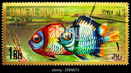 MOSCOU, RUSSIE - 4 OCTOBRE 2019: Timbre-poste imprimé à Umm Al Quwain montre en réseau Dasycyllus (Dascyllus reticulatus) - Juvenile, Fishes of the Banque D'Images