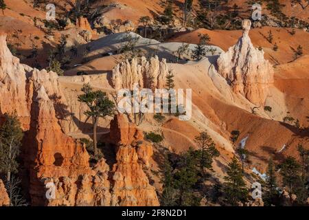 Lumière du soir, le Parc National de Bryce Canyon, Utah Banque D'Images