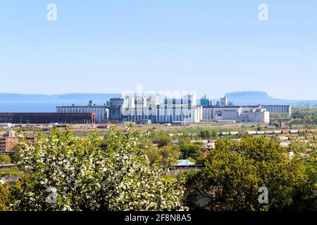 Au-delà des arbres à fleurs, le soleil brille sur les silos à grains du lac supérieur à Thunder Bay, Ontario, Canada. Banque D'Images