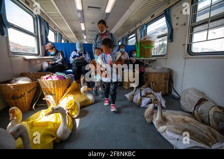 (210415) -- XICHANG, 15 avril 2021 (Xinhua) -- des enfants marchent à côté de la volaille sur le train 5633 dans la province du Sichuan, dans le sud-ouest de la Chine, le 11 avril 2021. Alors que des trains à grande vitesse modernes passent devant de nouvelles gares dans toute la Chine, deux trains à basse vitesse traversent encore les montagnes de Daliang. Les 5633/5634 trains relient Puxiong à Panzhihua, dans la province du Sichuan, à une vitesse moyenne de moins de 40 km/h. Le voyage avec 26 stations entre les deux prend onze heures et quatre minutes, avec les prix des billets allant de 2 yuan à 25.5 yuan (environ 0.3-3.9 dollars américains). Les trains à basse vitesse envoient Banque D'Images