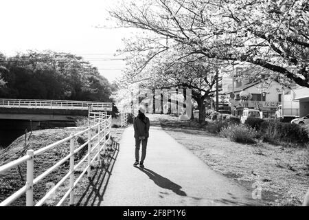 Un après-midi ensoleillé avec de nombreuses activités de plein air près de Kyomachi, Beppu, Japon Banque D'Images