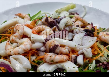 Salade de fruits de mer frais : pieuvre, seiches, crevettes. Salade de mer sur un plat blanc. Gros plan Banque D'Images
