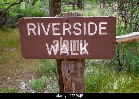 Zion NP, UT, États-Unis - 16 mai 2020 : le sentier Riverside Walk Trail Banque D'Images