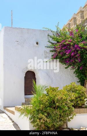 Bâtiment décoré avec des fleurs étonnantes à Vejer de la Frontera, Espagne Banque D'Images