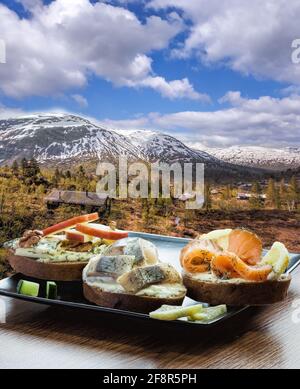 Sandwichs scandinaves typiques contre petit village sur chemin de fer de Flam à Myrdal en Norvège. Banque D'Images